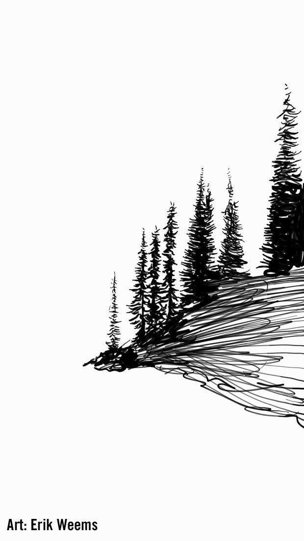 Forest Edge