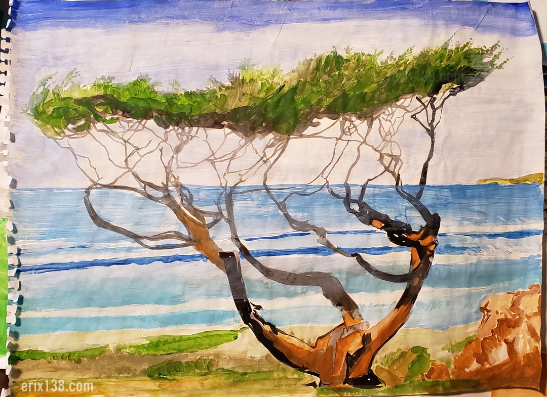 Color sketch Monterey Cypress Color sketch Monterey Cypress